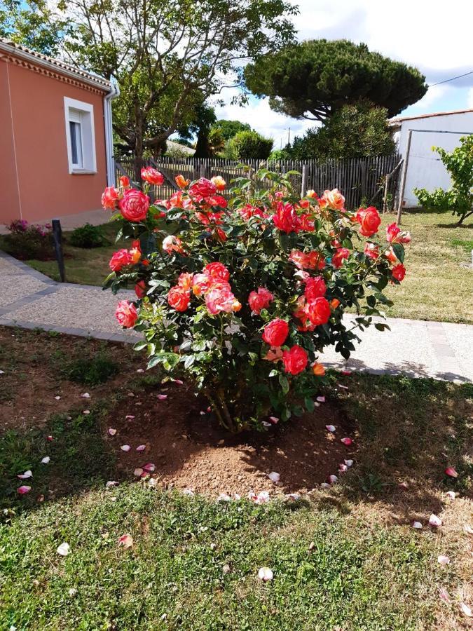 Appartement Independant A 10Min Des Plages Au Calme Proche O'Gliss Et O'Funparken Campagne La Jonchere Exteriör bild